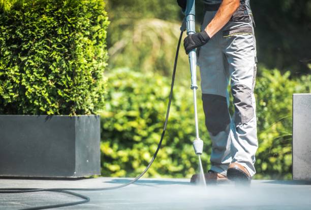 Best Roof Washing  in Charter Oak, CA